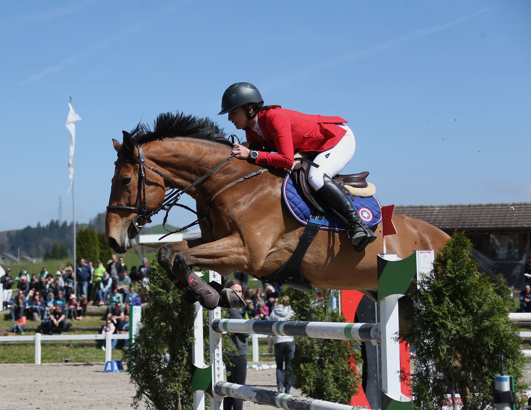/showjumping/hasle.jpeg